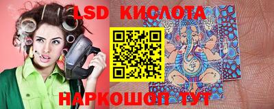крисы Будённовск