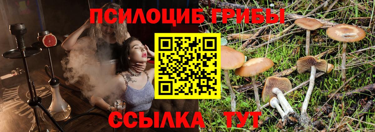 Узловая  Псилоцибиновые грибы Magic Shrooms  Вход с VPN 