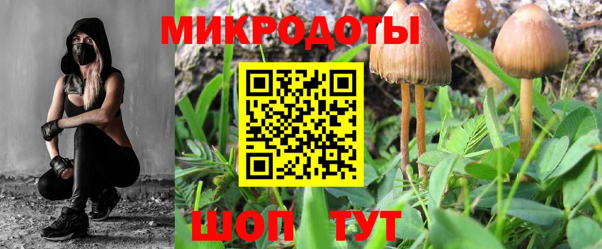 Галлюциногенные грибы Psilocybe Узловая